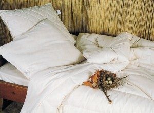 COUETTE_EN_LAINE