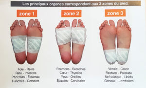 Les principaux organes correspondant aux 3 zones du pied.