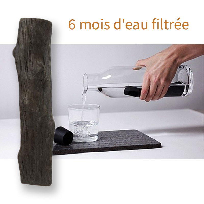 purificateur d'eau par charbon actif