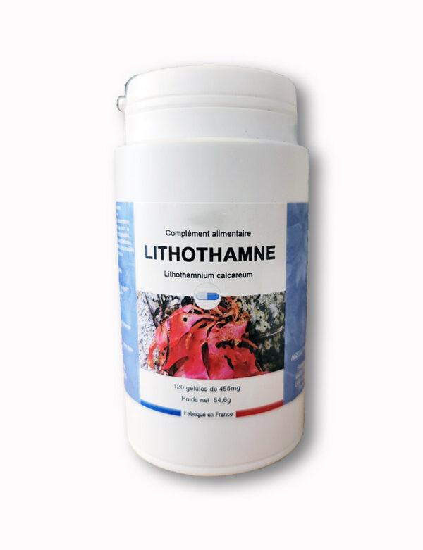 LITHOTHAMNE