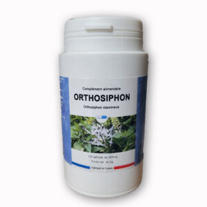 Orthosiphon